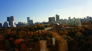 師走の紅葉 新宿御苑 201112041353000.jpg